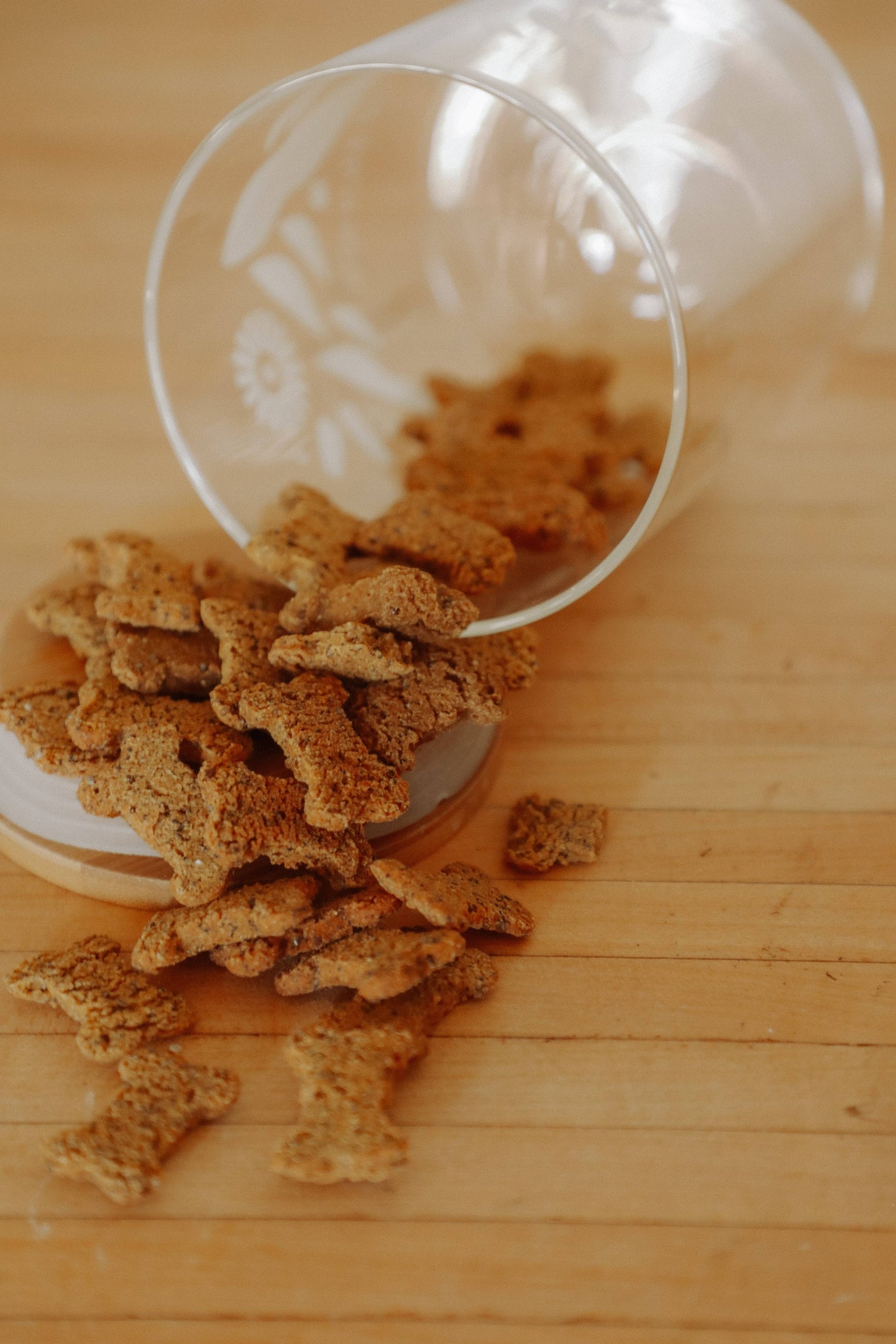 Jar Refills - Superfood Dog Treats